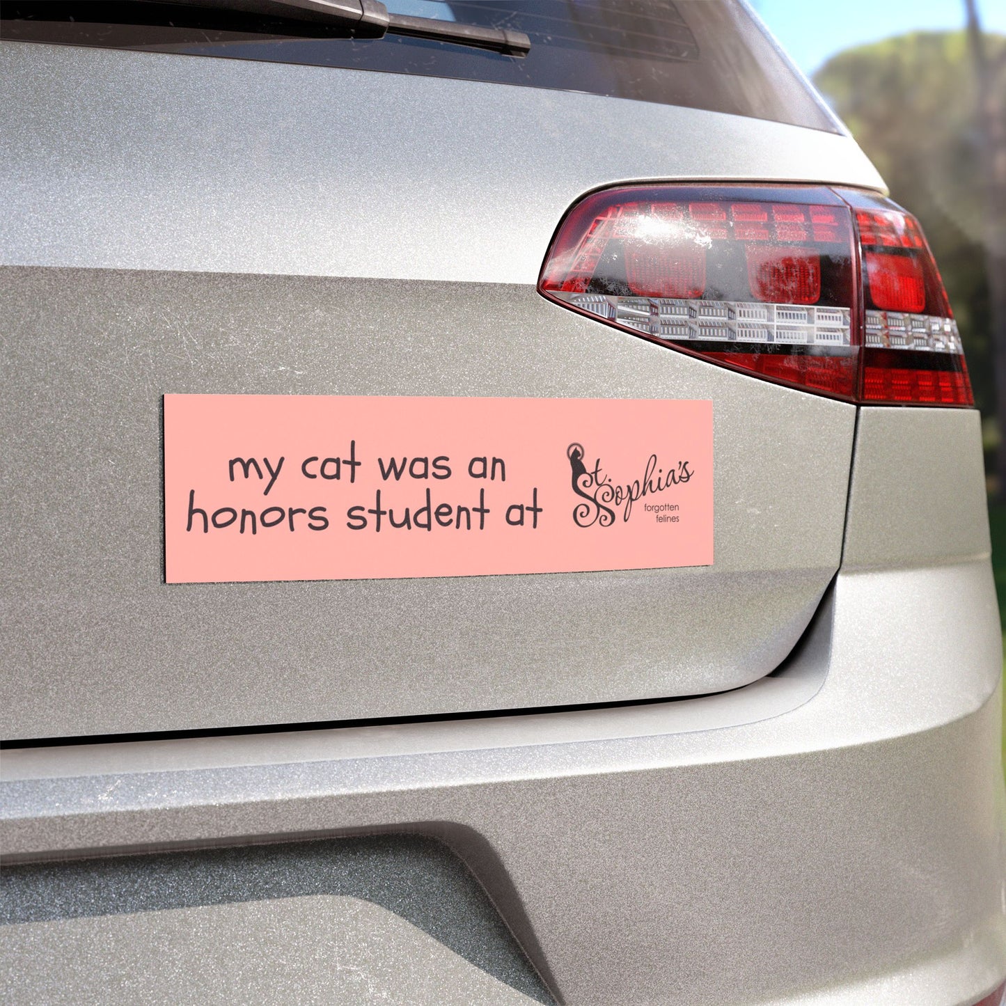 My Cat Was An Honors Student Bumper Magnet
