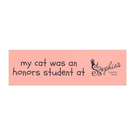 My Cat Was An Honors Student Bumper Magnet