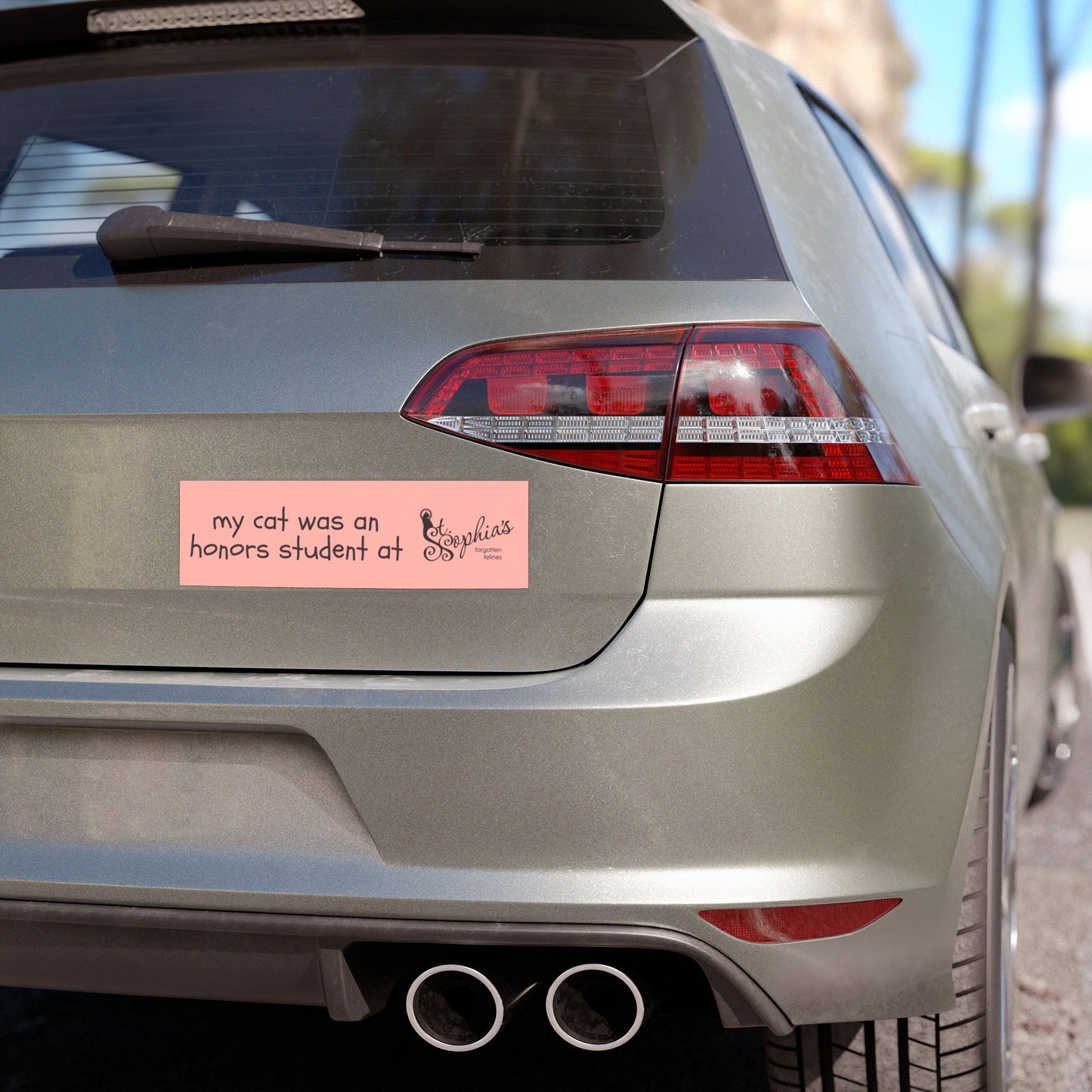 My Cat Was An Honors Student Bumper Magnet