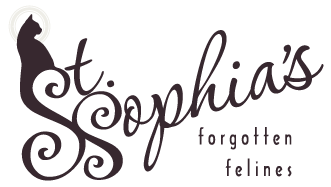 Shop St. Sophia’s Forgotten Felines